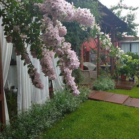 Pousada Charme E Estilo Nova Petropolis Ngoại thất bức ảnh