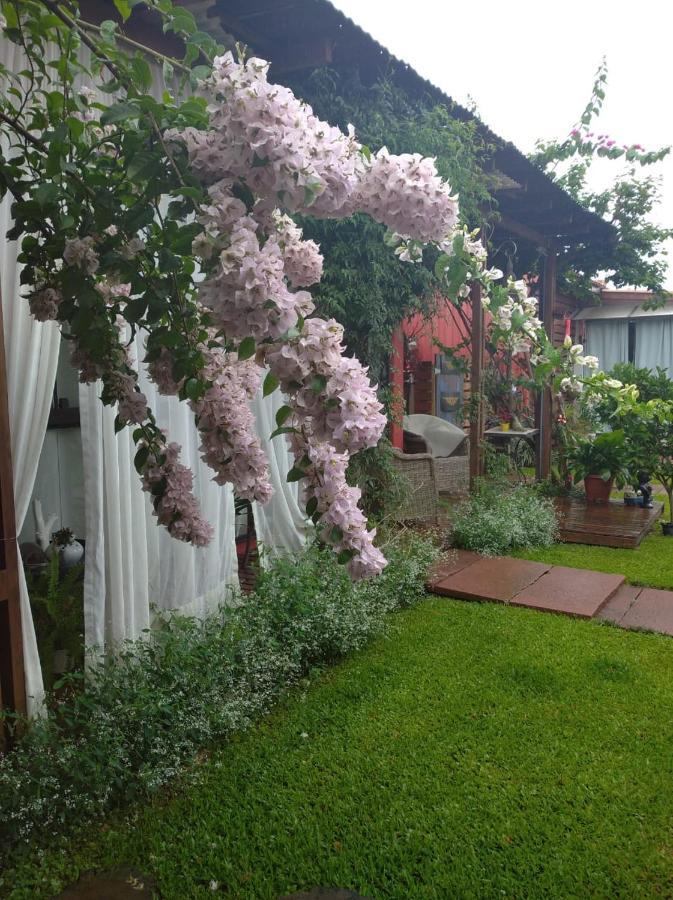 Pousada Charme E Estilo Nova Petropolis Ngoại thất bức ảnh